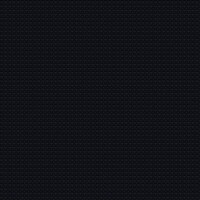 3007